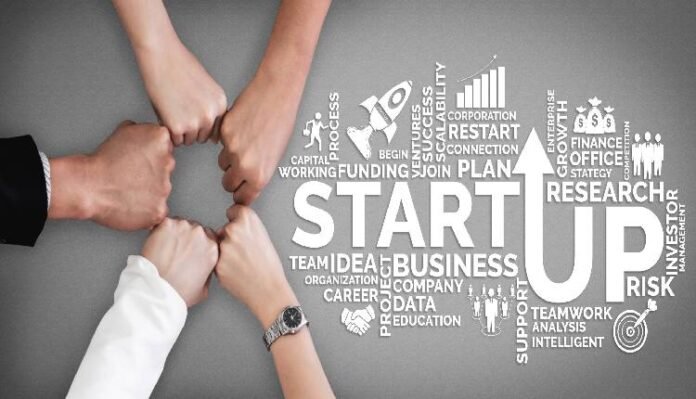 invest in startups
